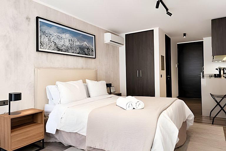 Stylish Studio Near Downtown Santiago