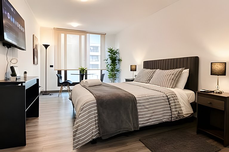Elegant Studio Near Downtown Santiago