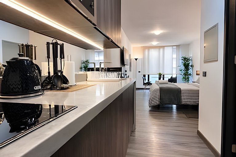 Elegant Studio Near Downtown Santiago