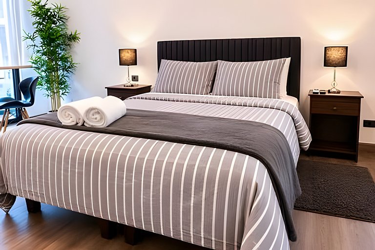 Elegant Studio Near Downtown Santiago
