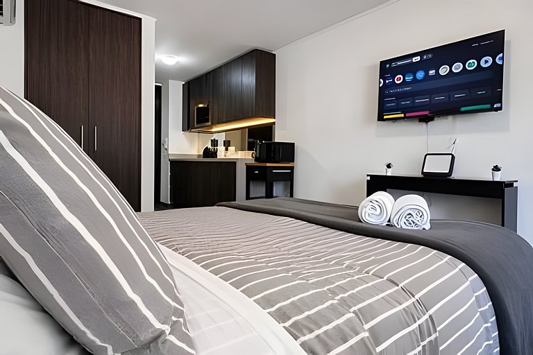 Elegant Studio Near Downtown Santiago