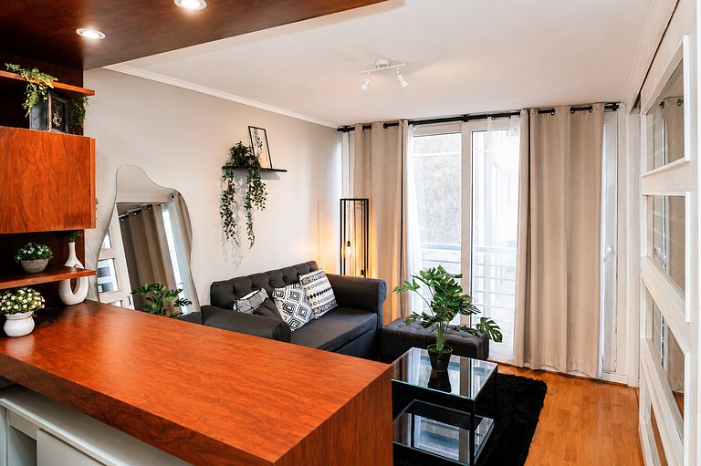 Comfortable Downtown Apartment for 2